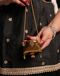 Golden Traditional Nano Bag